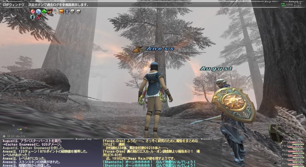 エスカエリアだとずっとチェーンが続く