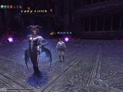 ★翼もつ女神での戦闘